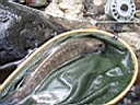 P9130005.JPG