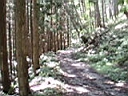P9130014.JPG